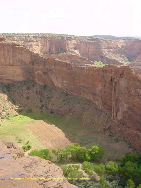 chinle champs cultivs dans le canyon de Chelly